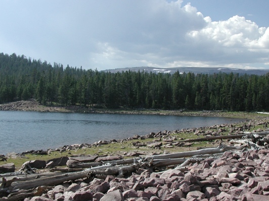 Brown Duck Trail